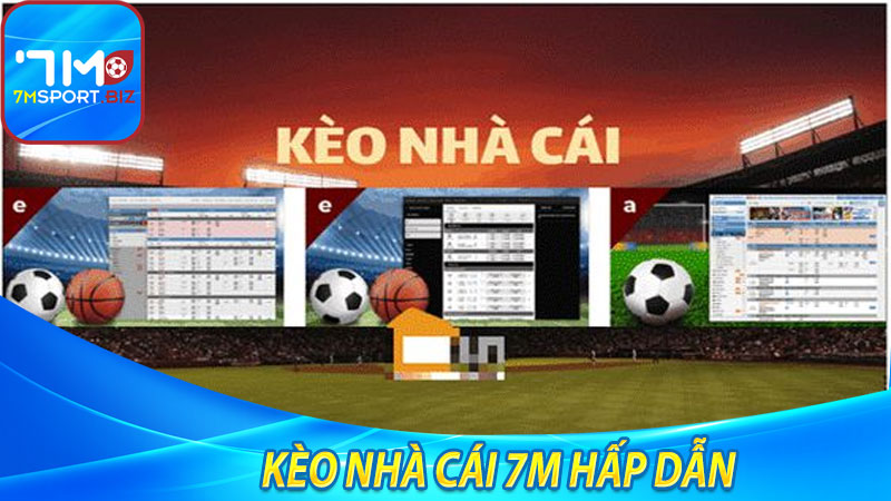 Tỷ lệ kèo nhà cái 7m