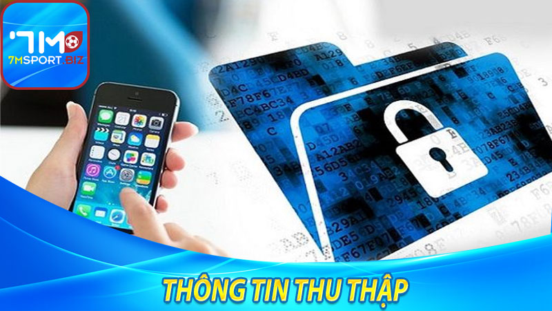 Thông tin thu thập từ người dùng