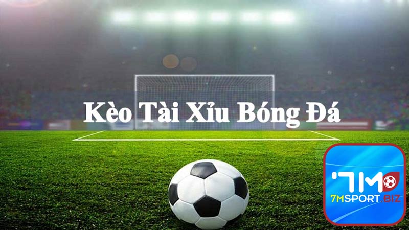 Tỷ lệ kèo tài xỉu phổ biến và hấp dẫn nhất hiện nay